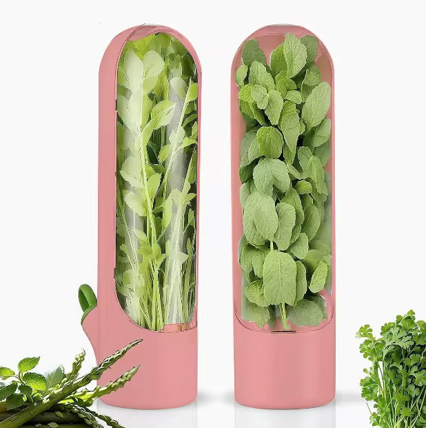 Conservador de ervas